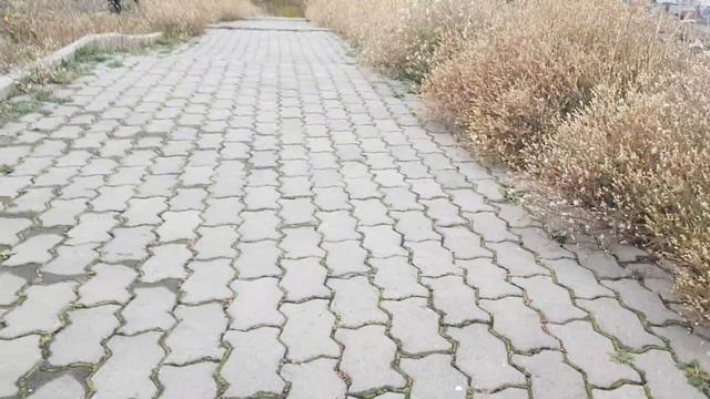 Өскеменде Қазақстан деген жазуға көтерілдім