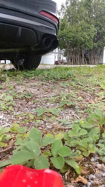 Hyundai Elantra Sport 2018 Muffler Delete