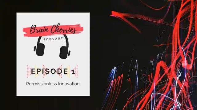 1. Permissionless Innovation (Brain Cherries Podcast)