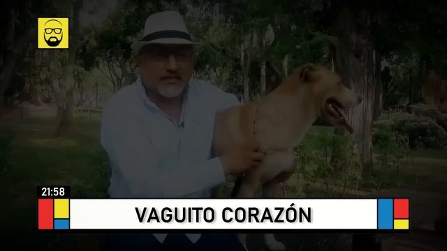 Beto A Saber - ABR 22 - 3/3 - VAGUITO CORAZÓN | Willax