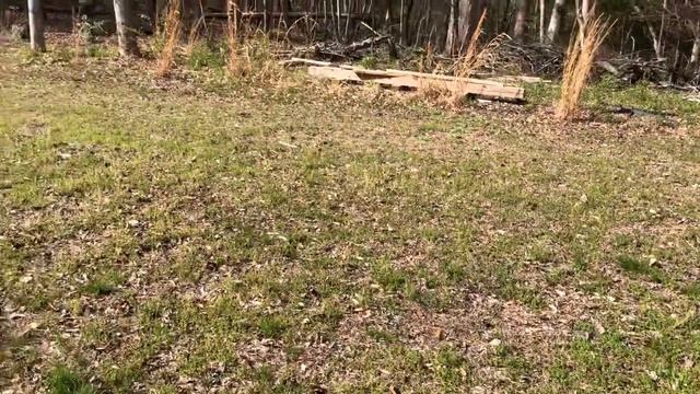 40 meter dipole on the ground.