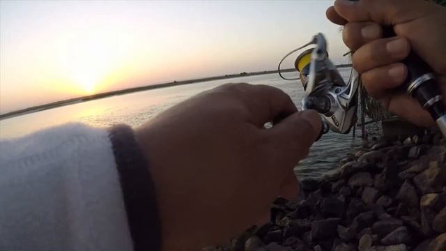 Massive Strike (& Heartbreak) On UL Setup - Abu Dhabi Shore Fishing