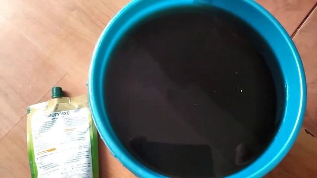 Еженедельная подкормка. Томаты.