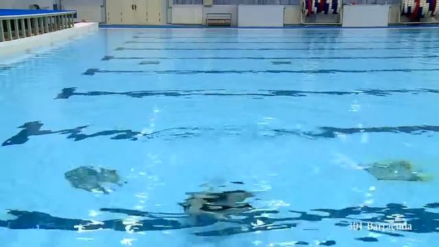 301 Barracuda (-12 Ans)