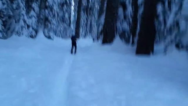 D478525ee5903934bf3574cec62c84de