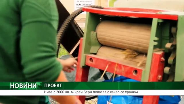 Нива с 2000 кв. м край Берн показва с какво се храним