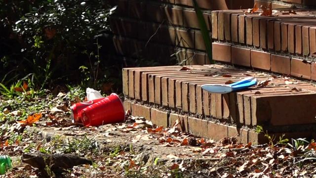 FSU Suspends All Greek Activities Indefinitely Following Death Of Pi Kappa Phi Pledge