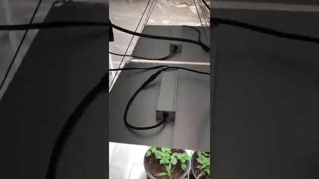 ไฟSamsung Lm281B Quantum Board QB650 65w ไฟเป็นยังไงดีมั้ยไปชมกัญคับ