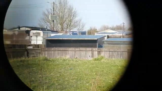 Moyne Park Zeiss Dialyt 8x30 B GA IF