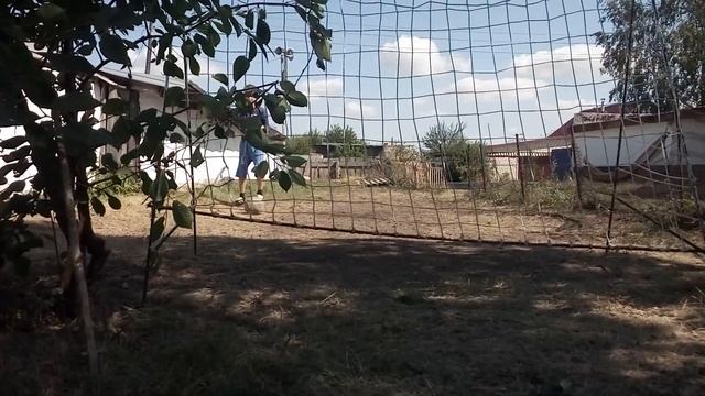 Ba32e38e4257c57de24adf18130e7f58