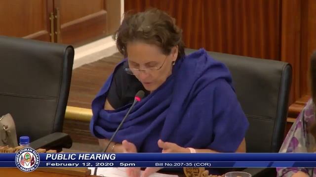 Public Hearing - Senator Therese M. Terlaje - February 12, 2020 5pm