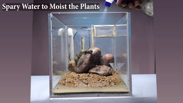 8 Cube Internal Sump Aquarium | All in One aquarium | Mini Aquarium Sump | Back Sump Aquarium