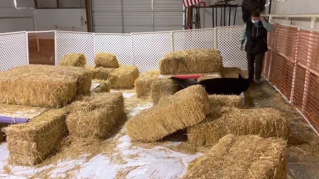 2cf3cb5333eda21428c087aacbe1b593