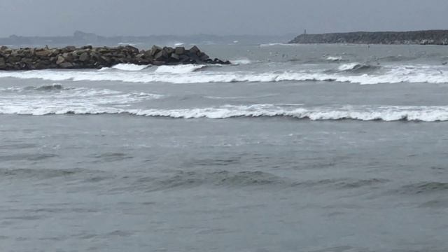 866daf1e0fd351cc1eb93d42eaadaa04