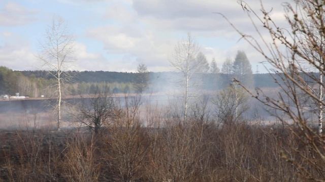 Burning the flora near the Platina Hotel, Russia   Skovorodino 15 MAY 2019 5E0A5758