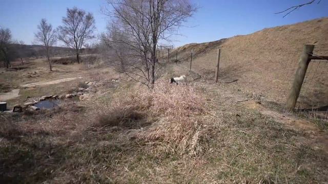 Moving My ENTIRE BACKYARD FARM To The NEW PROPERTY!!! (Ralph Was Angry)