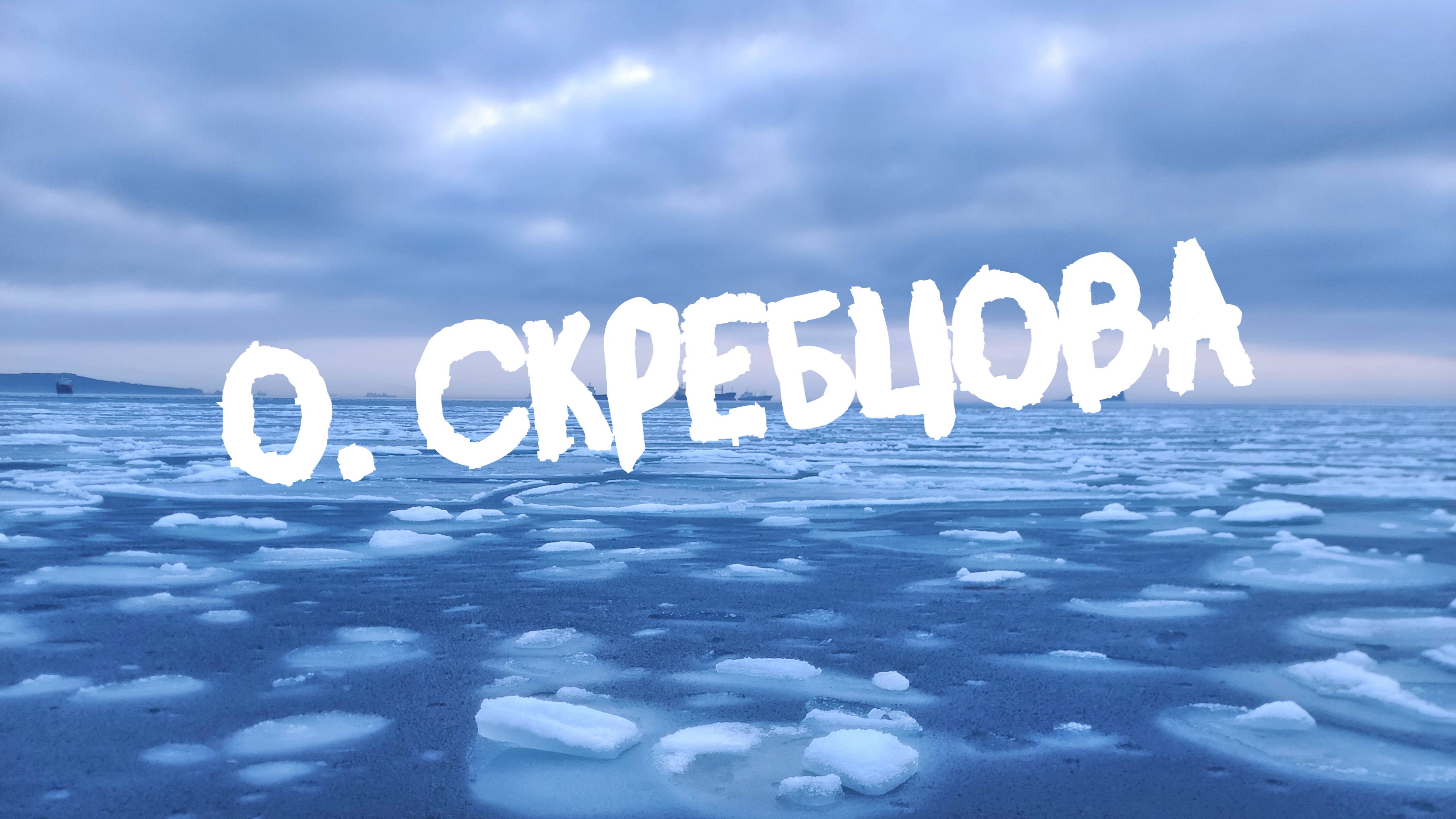 Прогулка на о. Скребцова (Коврижка). г. Владивосток