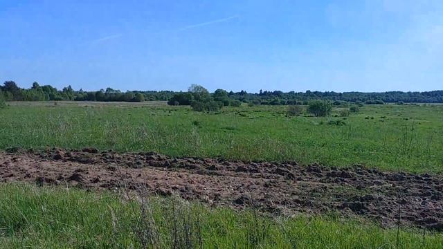 И опять ВПП не ВПП...