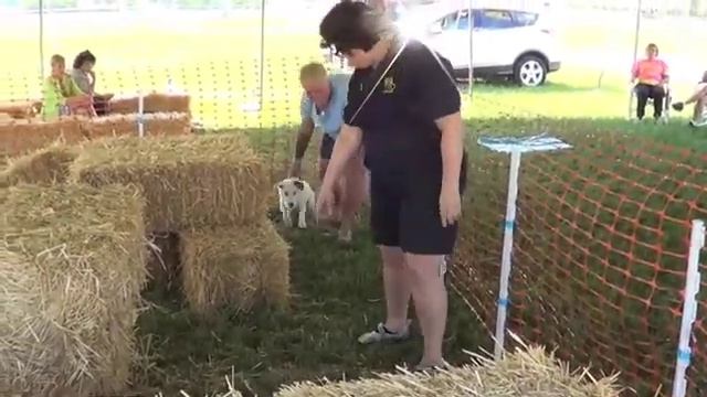 Stewart BARN HUNT DEBUT!