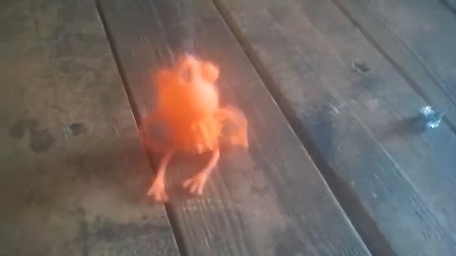 большеротая лягушка гравитация