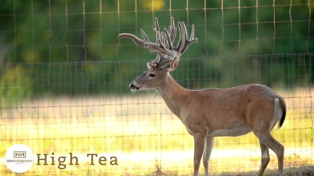 949791a8a0dbffa3f0cee4af7c3d50b0