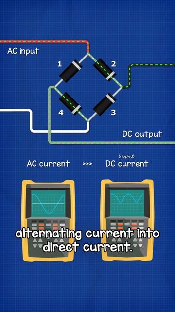 MINH HOẠ  ĐIOT CHỈNH LƯU CẦU