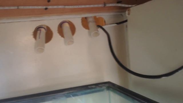 HOw To: Plumb DIY Reef Tank/ Bean Animal Overflow