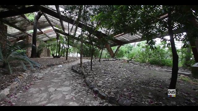 Estado Del Jardín Americano De Sevilla (Vídeo: Antonio Pizarro)