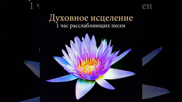 Расслабиться