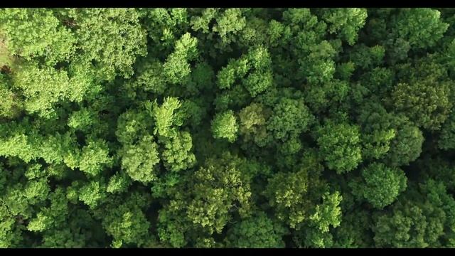 Relaxing Music For Meditation Yoga Music || Relax Play