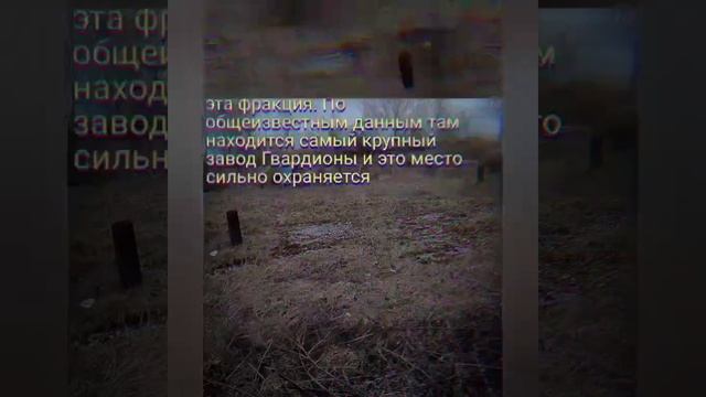 Локация Овощехранилище