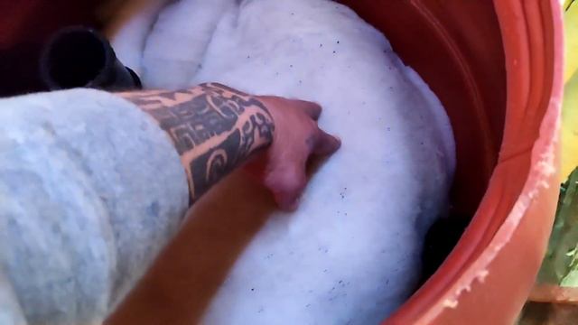 **UK KOI POND** Plans For Upcoming Video