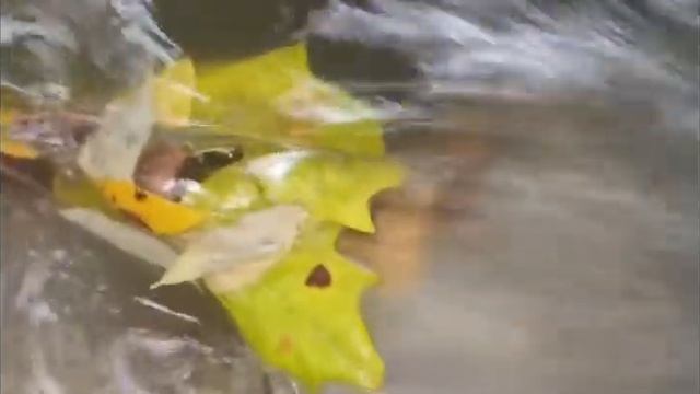 нервная релаксация