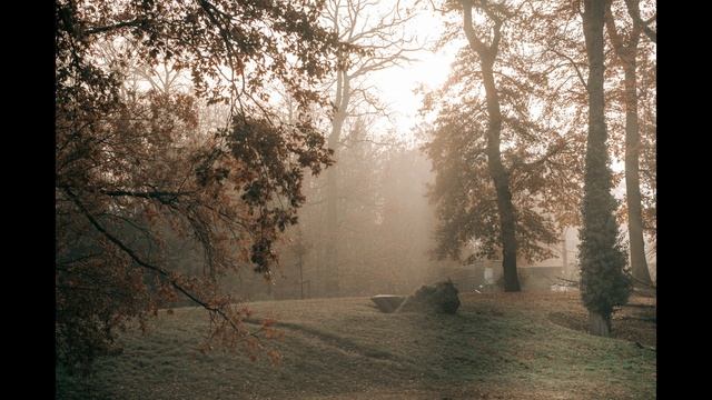 16a09b4a60f624e22d3630e56fad7858