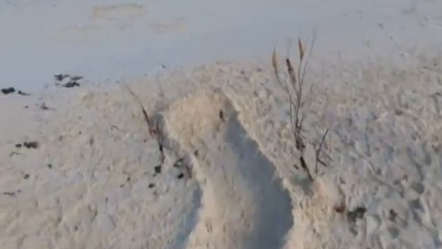 Куба отель Pestana Cayo Coco4*