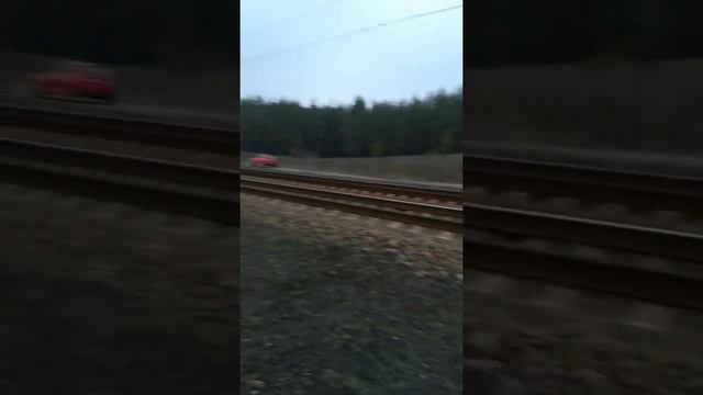 Елка Краматорска и Стелла