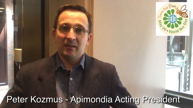 BEE Insights: The Origins Of World Bee Day