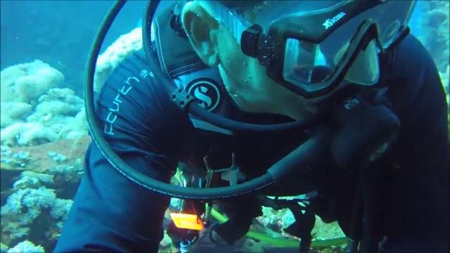 223d7d1728229aacb555fb3cd306885c