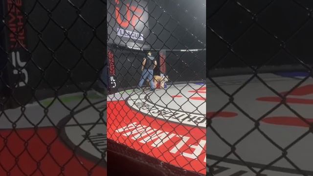 95d787b2eed8b8855371ccd9d8c062ff