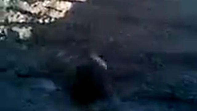 мнемоник.3gp