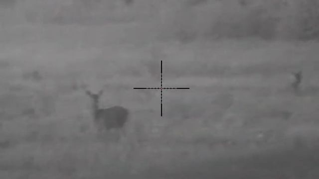 C10ab0abebb08299bfd607d23ed4ebe9