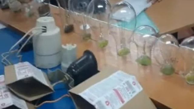 Уроки Ляляева С В