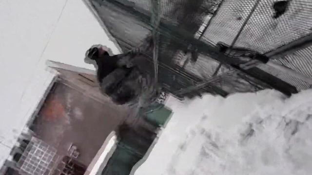 Остатки никчемных кадров.