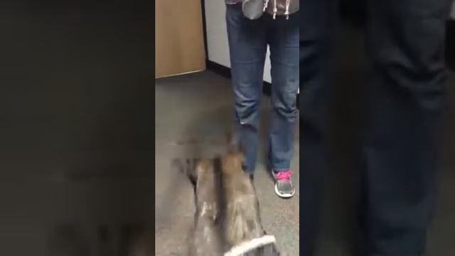 2d3ce4c051c850b21b25888550fdf463