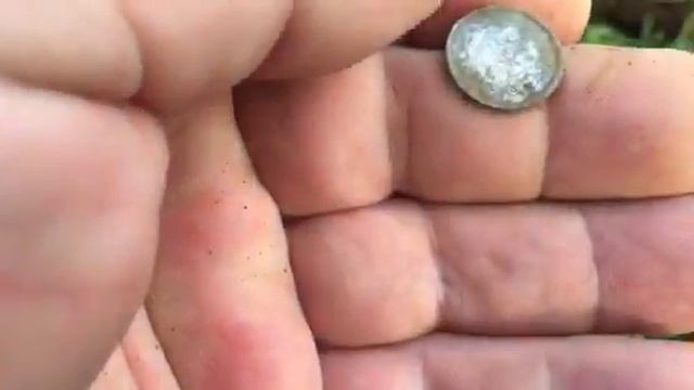 Canadian Fish Scale 5 Cent Piece.