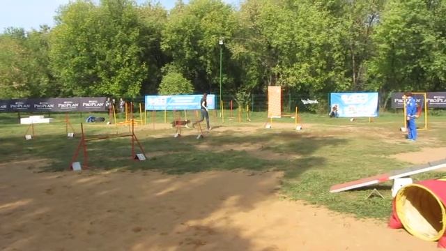 Осенний кубок Подмосковья - 2014. 13.09.2014. Аня и Фиби А1