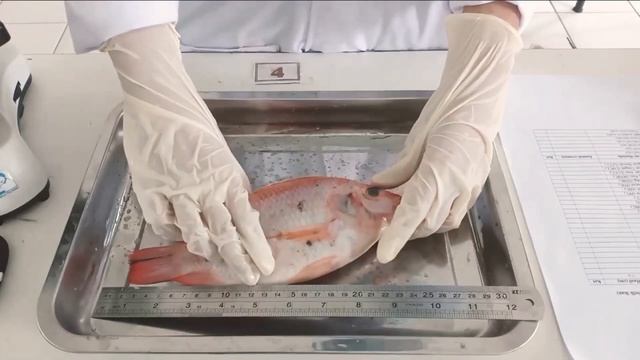 48fd485af990190447daa8ac80e9617d