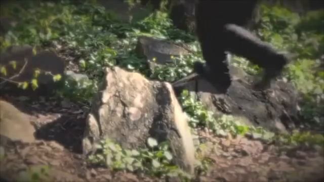 СХВАТКА ЗА ЖИЗНЬ. ШАГ