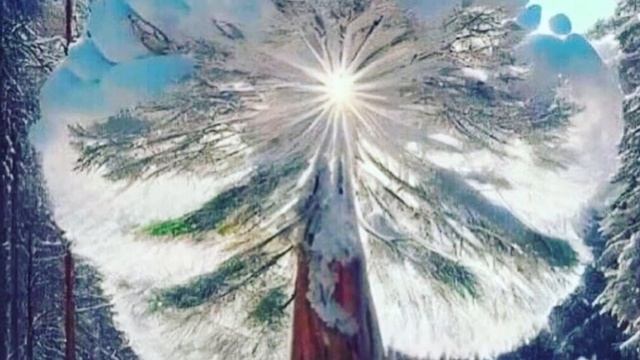 Тенденции Полнолуния 5 февраля 2023года.