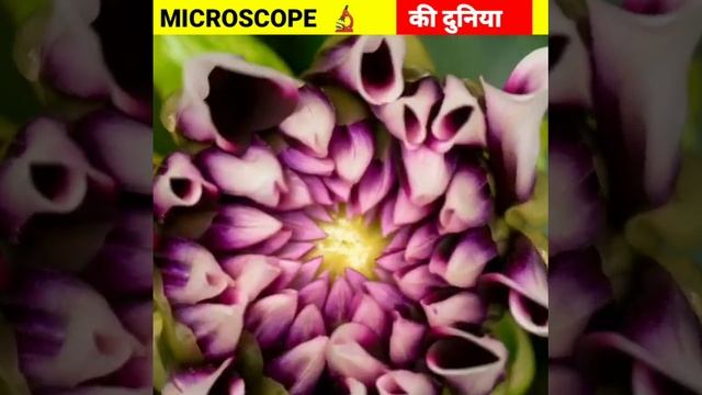 MICROSCOPE 🔬 की गजब दुनिया #short #shorts @MRINDIANHACKER